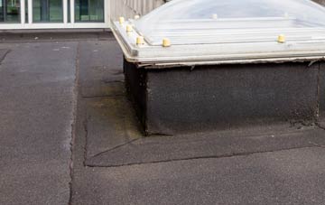 disadvantages of Drumgelloch flat roofs