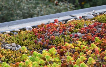 the cost of Drumgelloch green roof installation