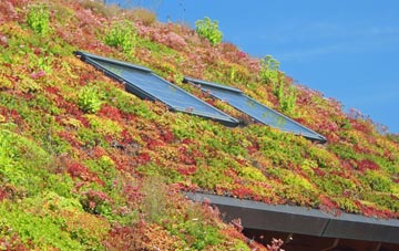 Drumgelloch living roof systems