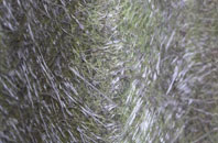 Drumgelloch fibreglass roof work